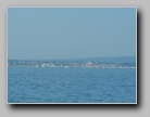 [Click to enlarge]