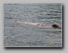 [Click to enlarge]