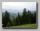 [Click to enlarge]