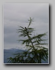 [Click to enlarge]