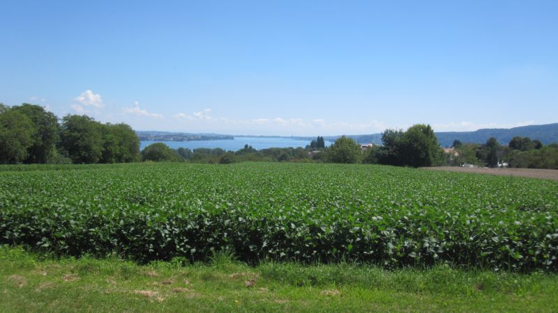 Radtour_070816_004