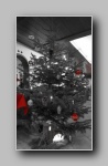 [Click to enlarge]