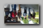 [Click to enlarge]