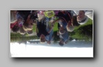 [Click to enlarge]