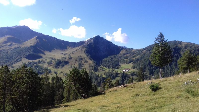 Schoenberg_050918_010