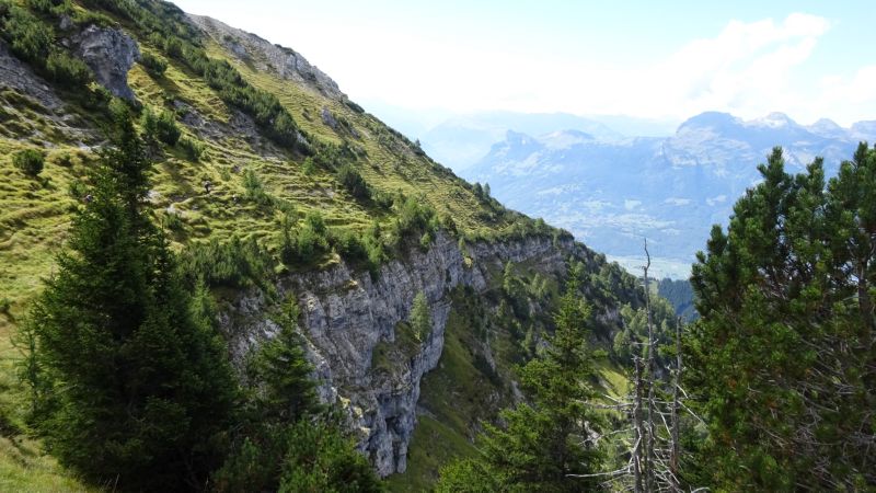 Schoenberg_050918_060