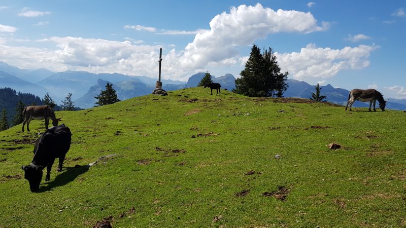 Schoenberg_050918_074