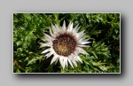 [Click to enlarge]