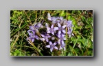 [Click to enlarge]