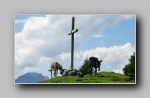 [Click to enlarge]