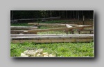[Click to enlarge]