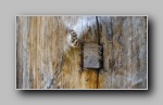 [Click to enlarge]