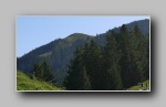 [Click to enlarge]