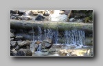 [Click to enlarge]