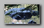 [Click to enlarge]
