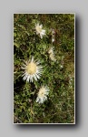 [Click to enlarge]