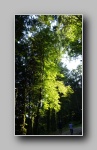 [Click to enlarge]