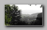 [Click to enlarge]