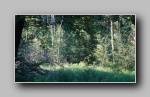 [Click to enlarge]